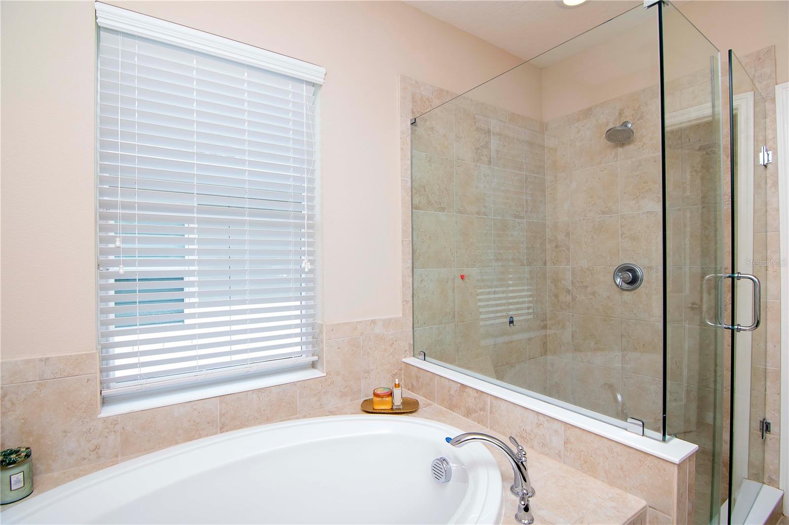 11125 WINTHROP LAKE DR, RIVERVIEW, FL, 33578