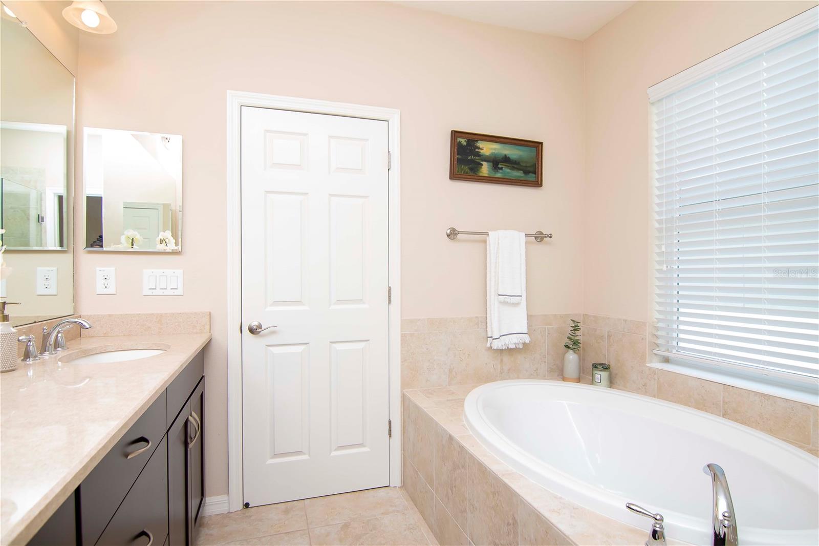 11125 WINTHROP LAKE DR, RIVERVIEW, FL, 33578