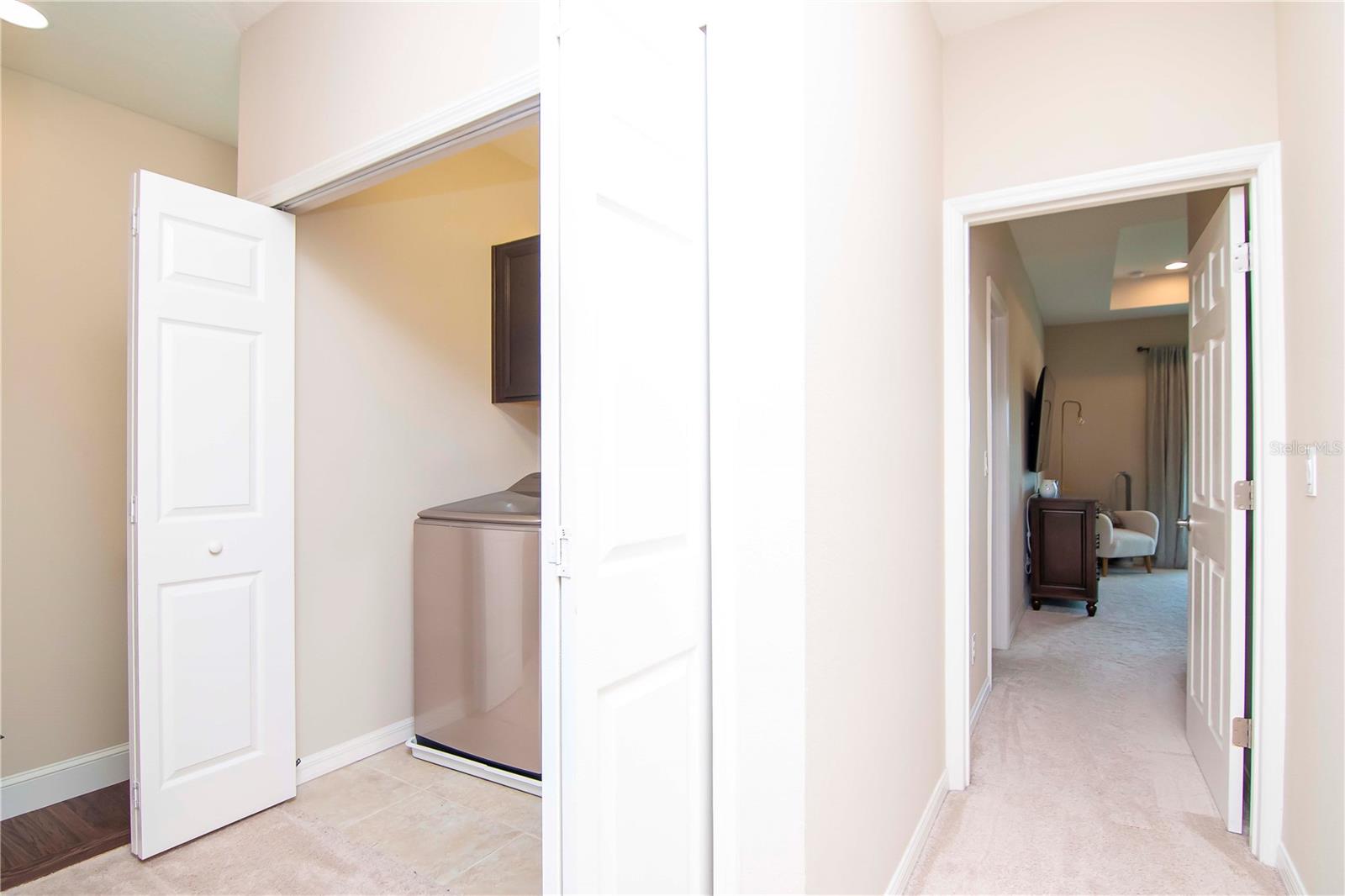 11125 WINTHROP LAKE DR, RIVERVIEW, FL, 33578