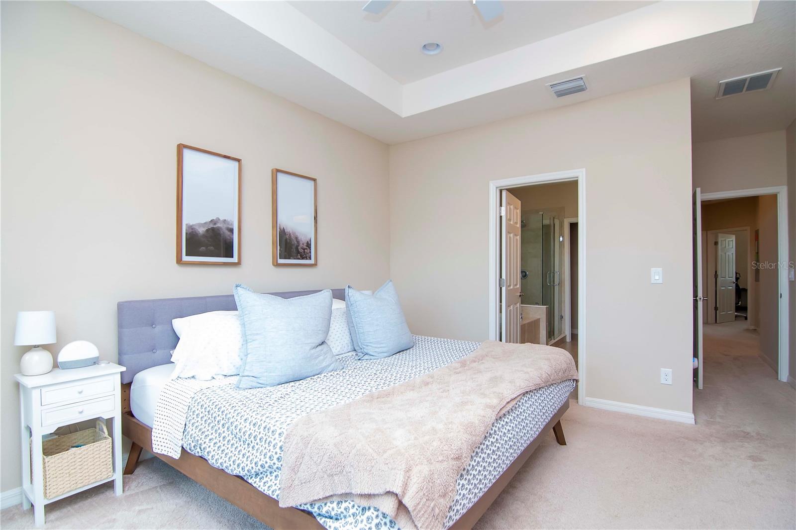 11125 WINTHROP LAKE DR, RIVERVIEW, FL, 33578