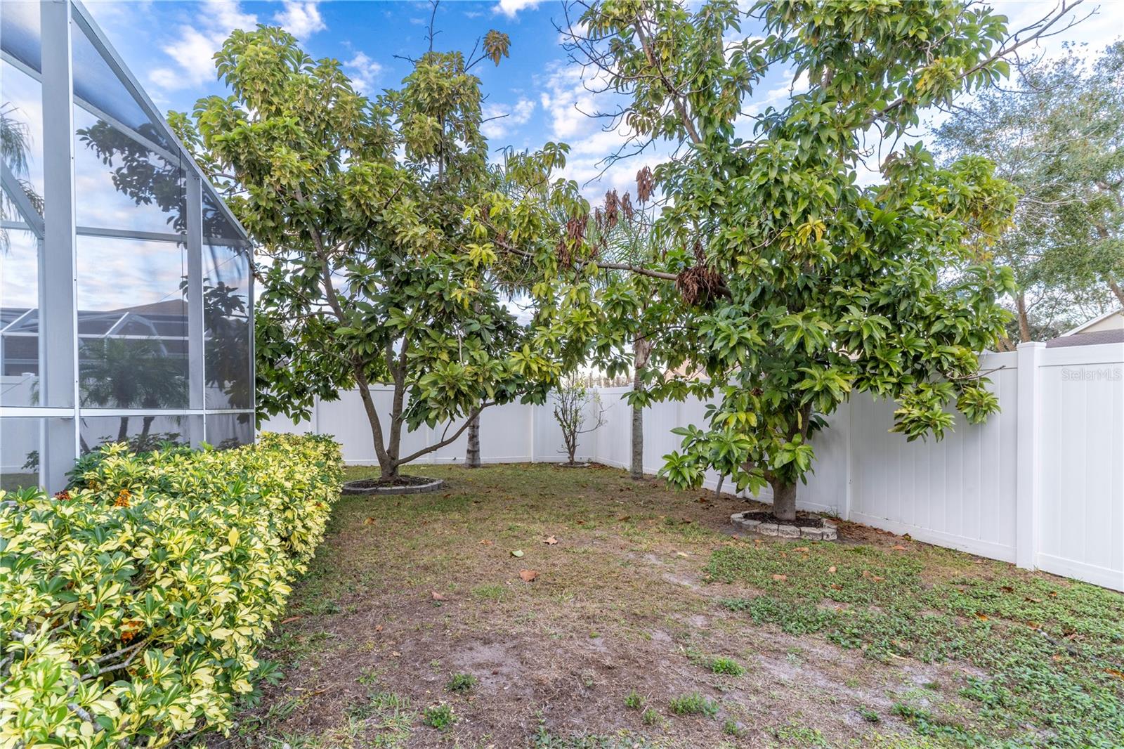 17436 LAWN ORCHID LOOP, LAND O LAKES, FL, 34638