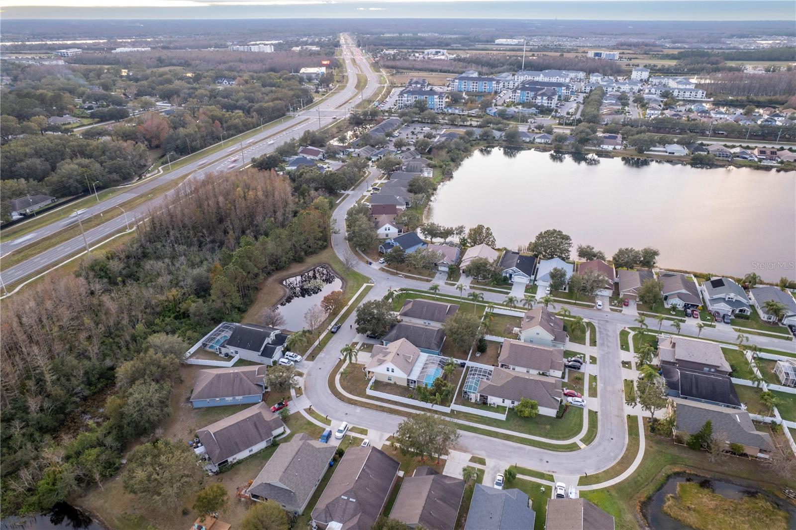 17436 LAWN ORCHID LOOP, LAND O LAKES, FL, 34638