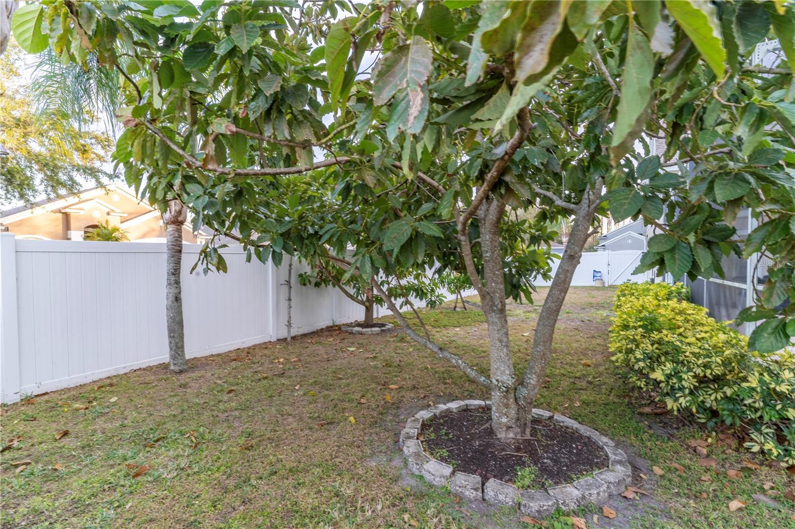17436 LAWN ORCHID LOOP, LAND O LAKES, FL, 34638