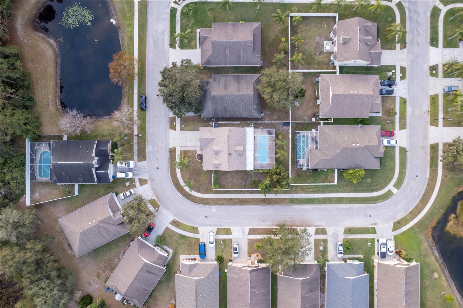 17436 LAWN ORCHID LOOP, LAND O LAKES, FL, 34638