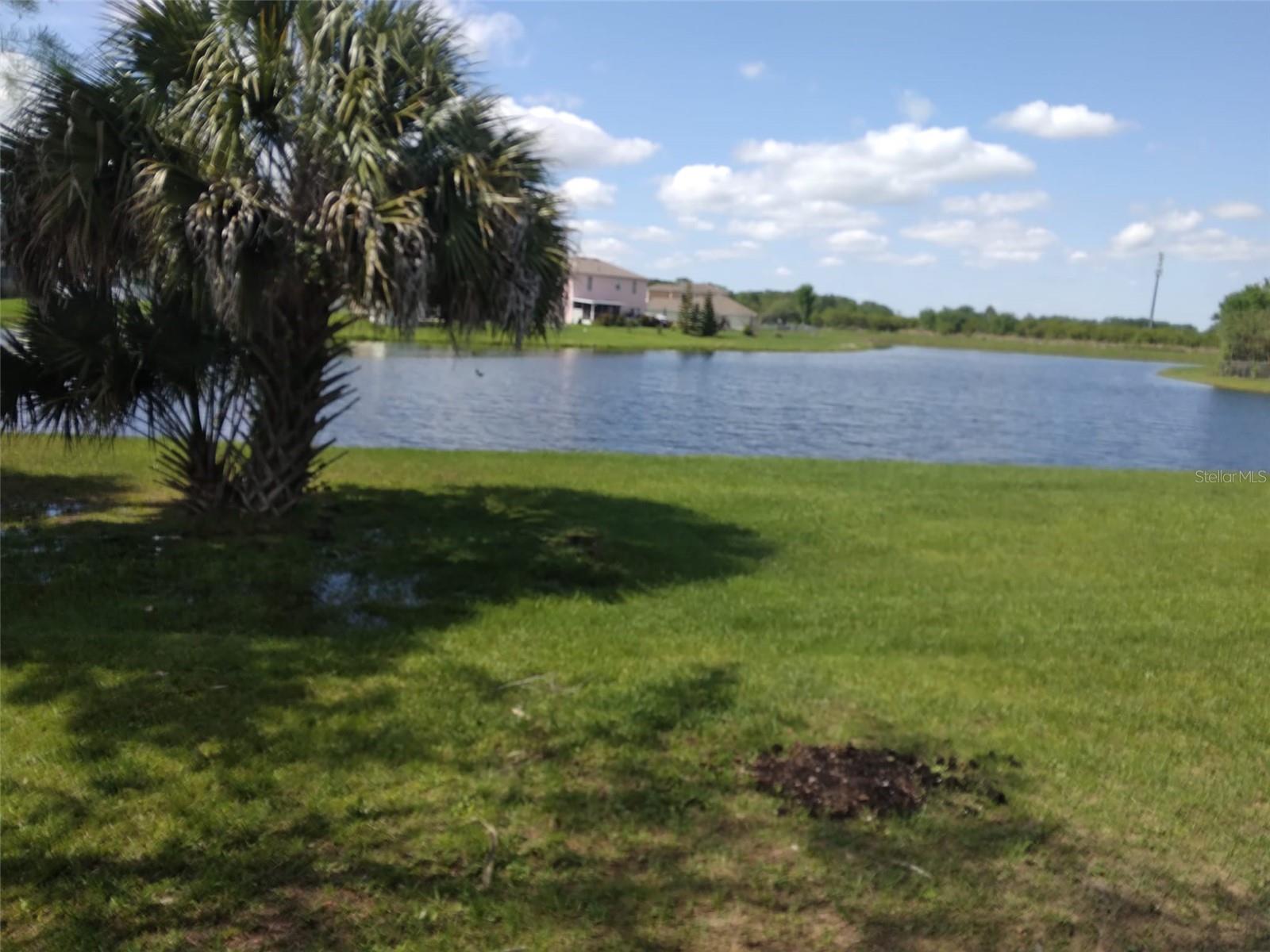 347 CLERMONT DR, KISSIMMEE, FL, 34759