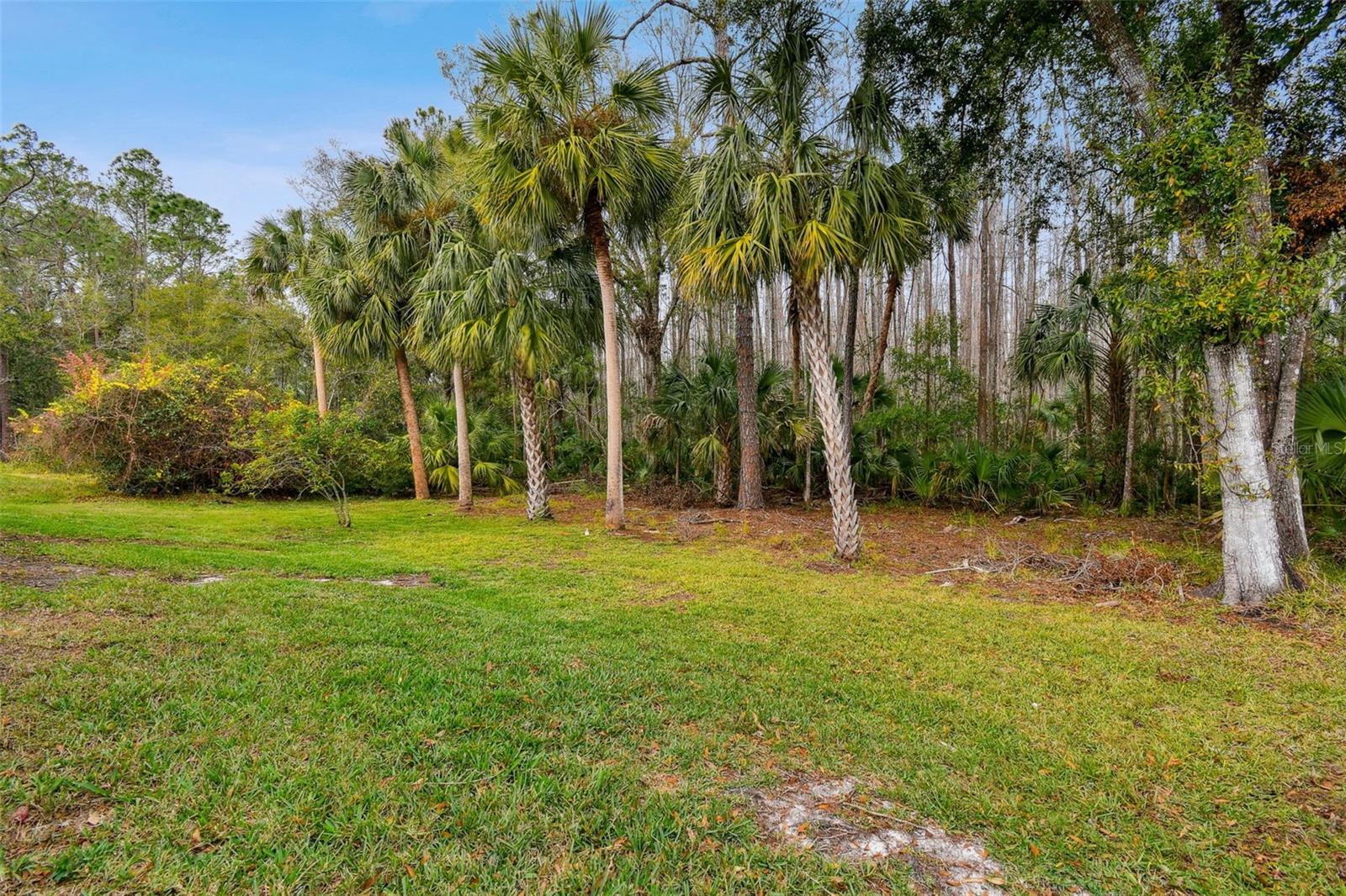 8106 KENDELWICK CT, TAMPA, FL, 33647
