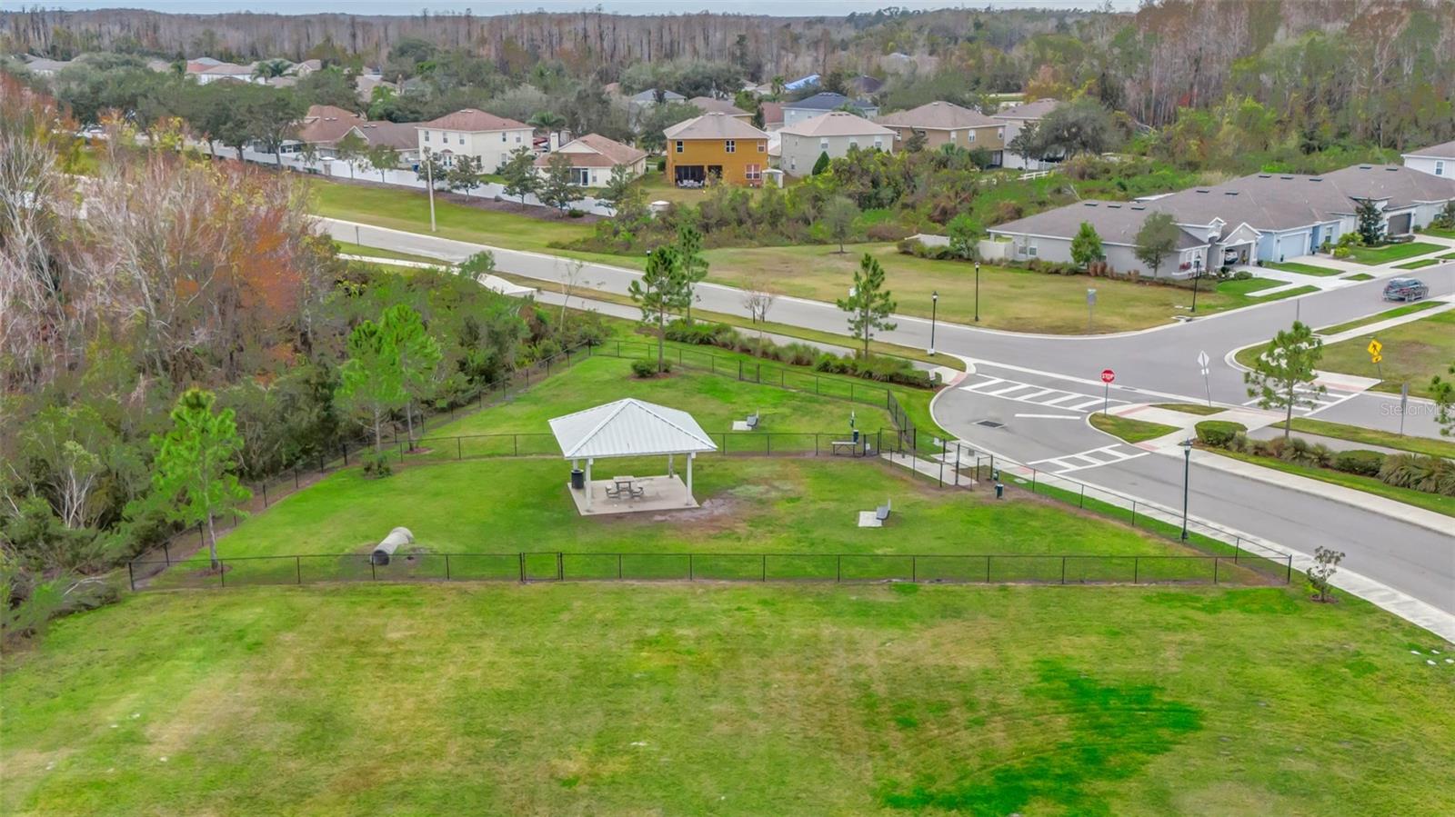 10399 GLIDING EAGLE WAY, LAND O LAKES, FL, 34638