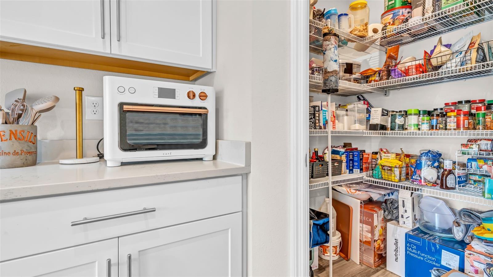 10399 GLIDING EAGLE WAY, LAND O LAKES, FL, 34638