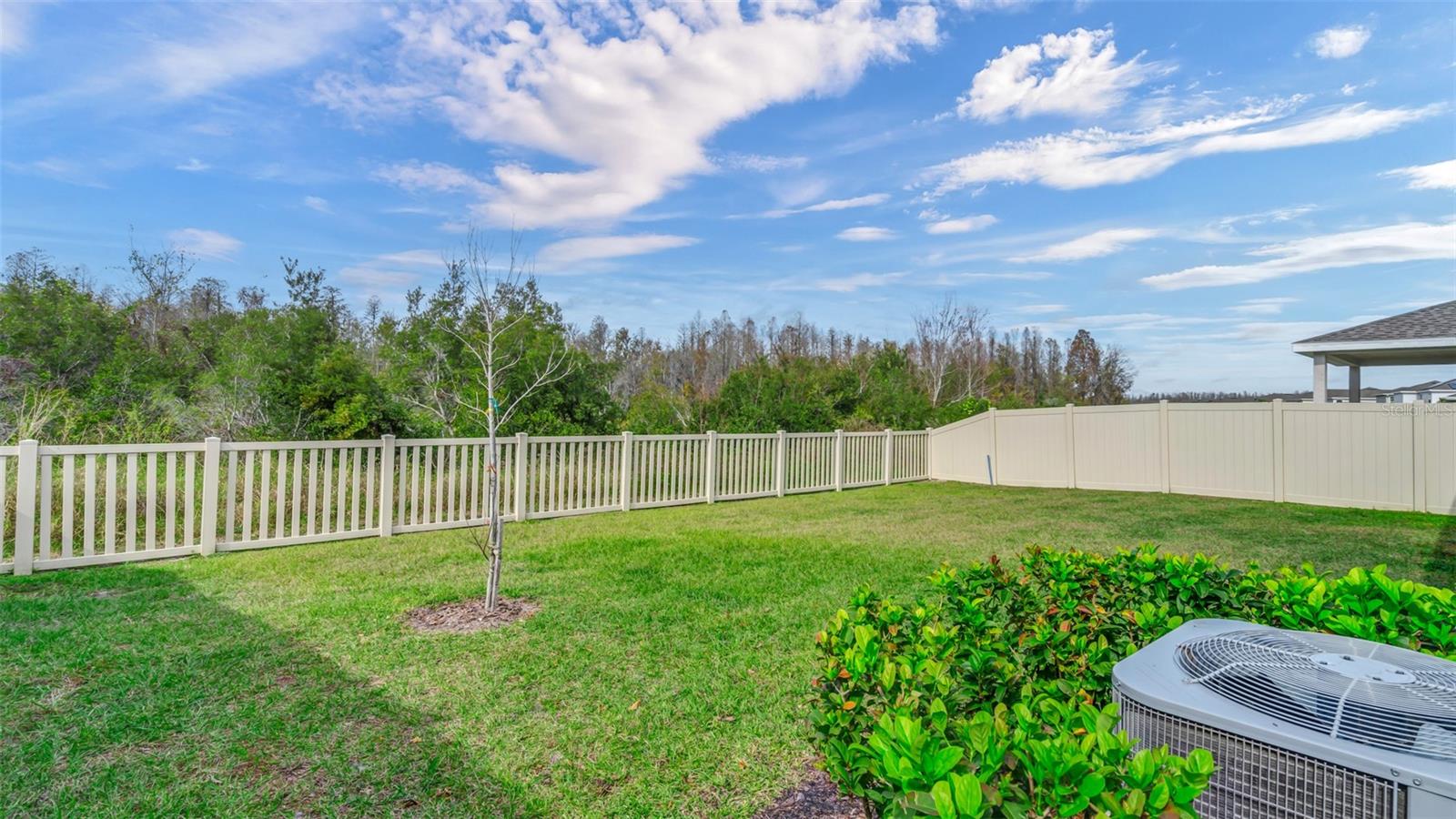 10399 GLIDING EAGLE WAY, LAND O LAKES, FL, 34638