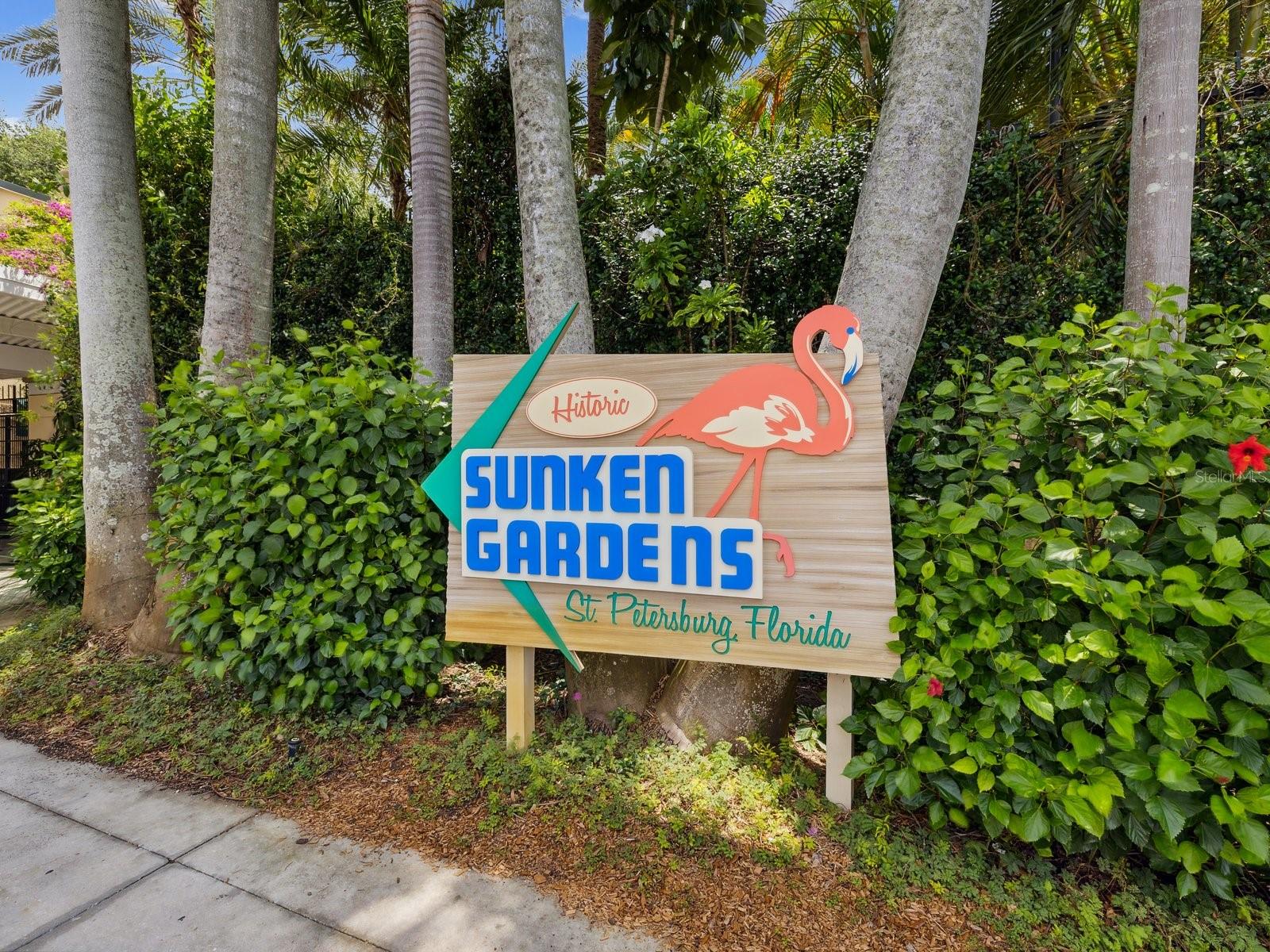 146 4TH AVE NE #504, ST PETERSBURG, FL, 33701