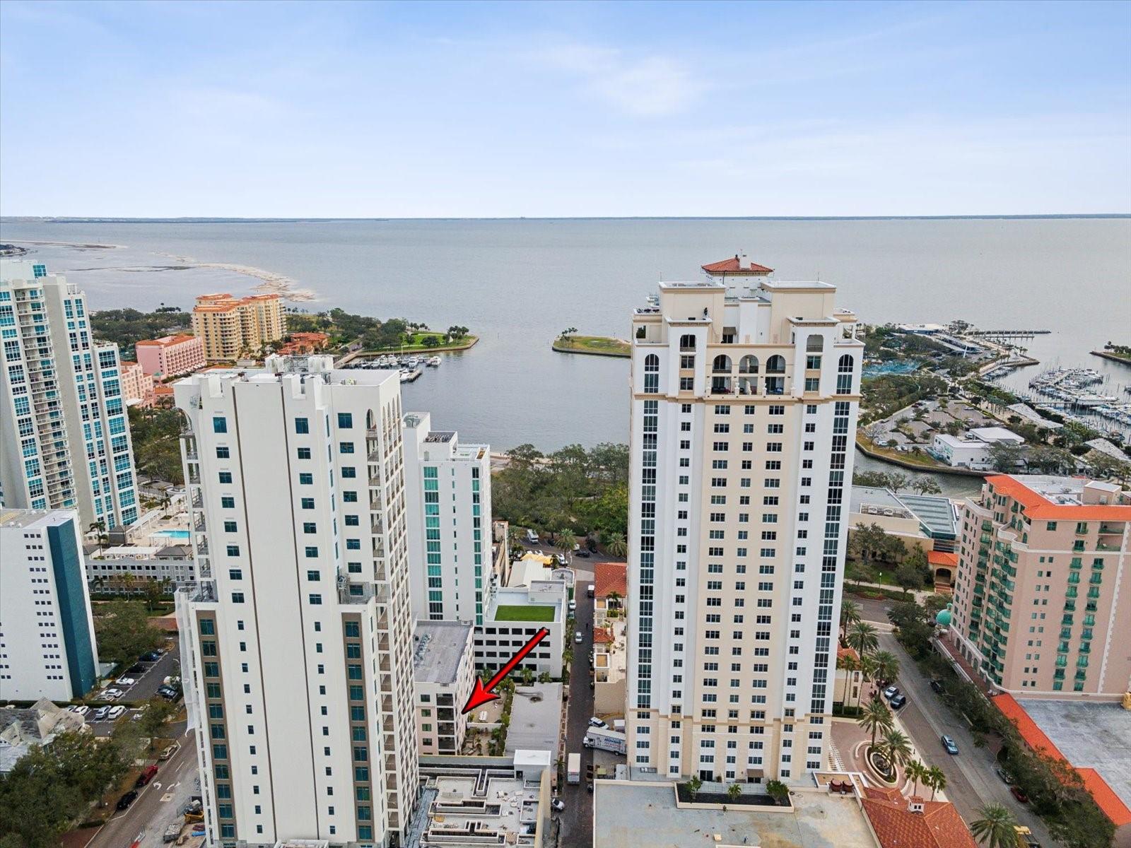 146 4TH AVE NE #504, ST PETERSBURG, FL, 33701