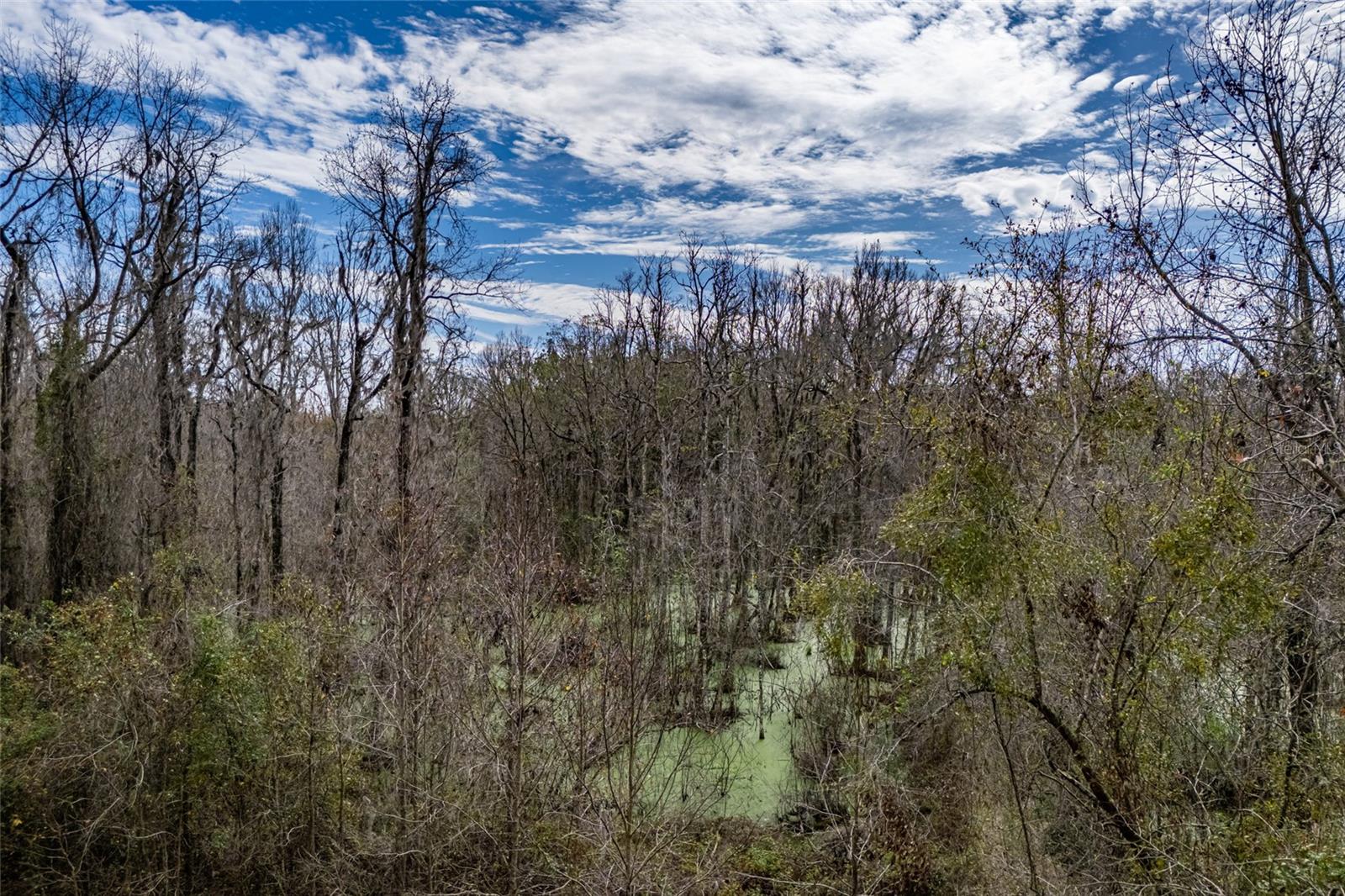 20105 NW 91ST ST, ALACHUA, FL, 32615