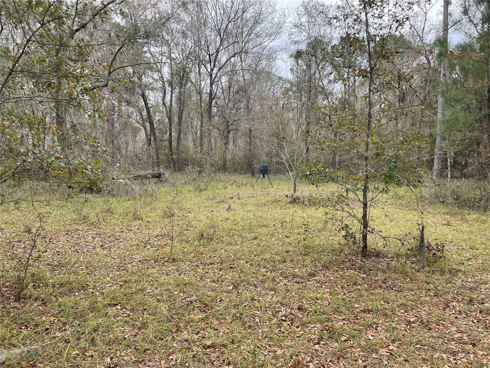 20105 NW 91ST ST, ALACHUA, FL, 32615