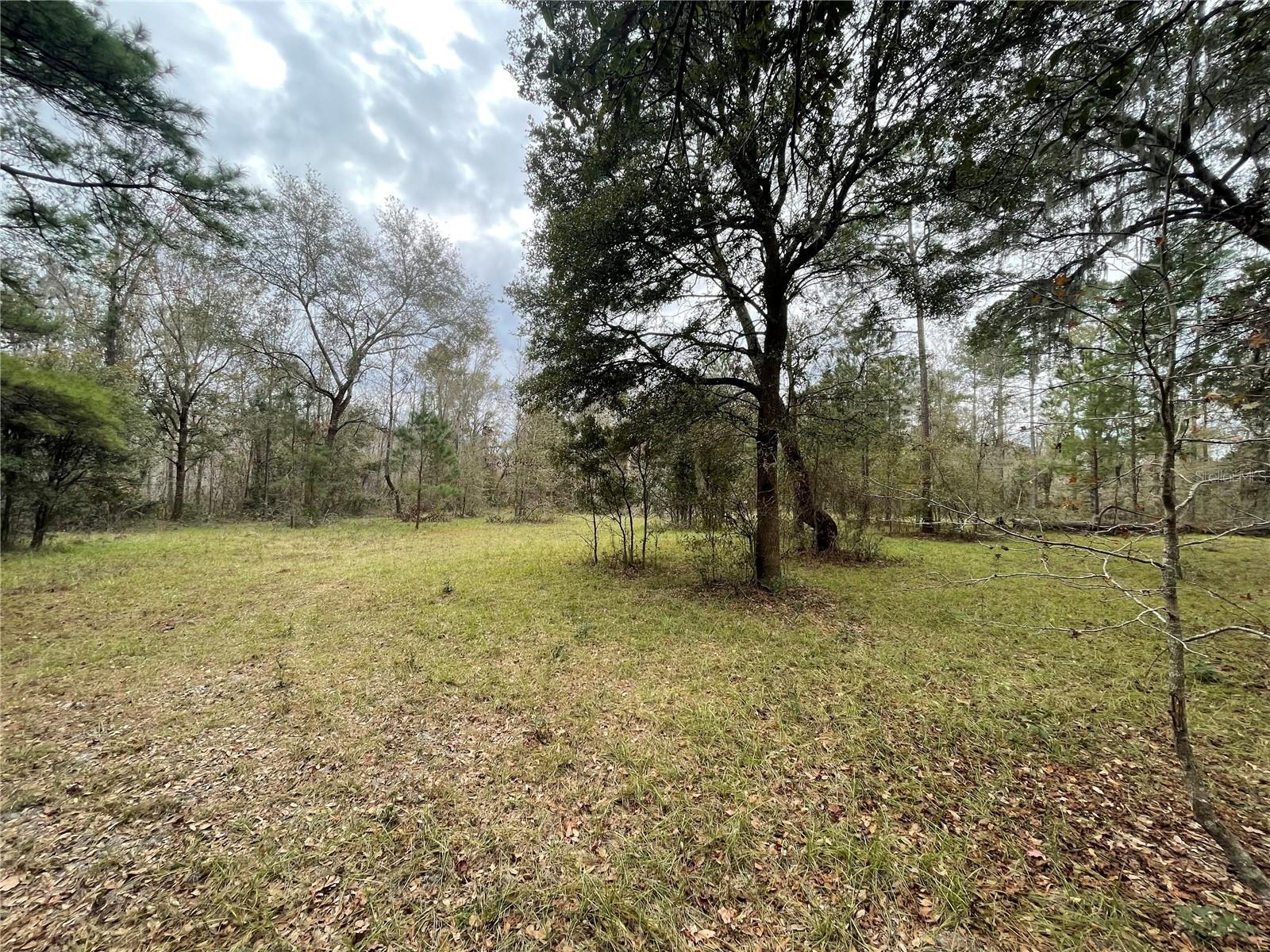 20105 NW 91ST ST, ALACHUA, FL, 32615