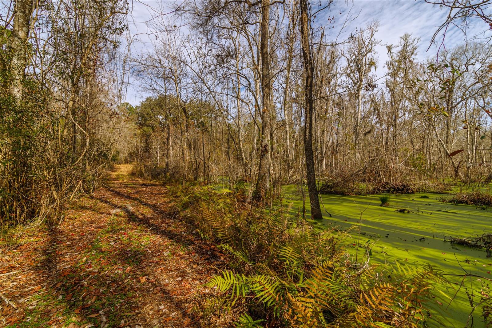 20105 NW 91ST ST, ALACHUA, FL, 32615