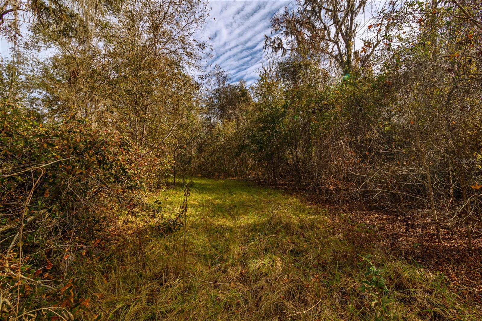 20105 NW 91ST ST, ALACHUA, FL, 32615