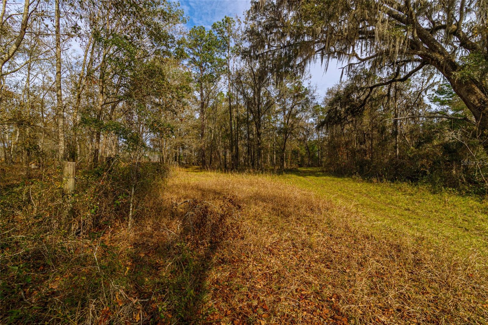 20105 NW 91ST ST, ALACHUA, FL, 32615
