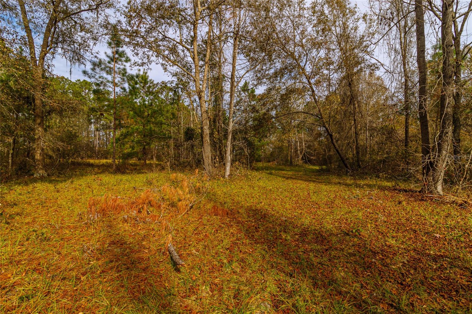 20105 NW 91ST ST, ALACHUA, FL, 32615