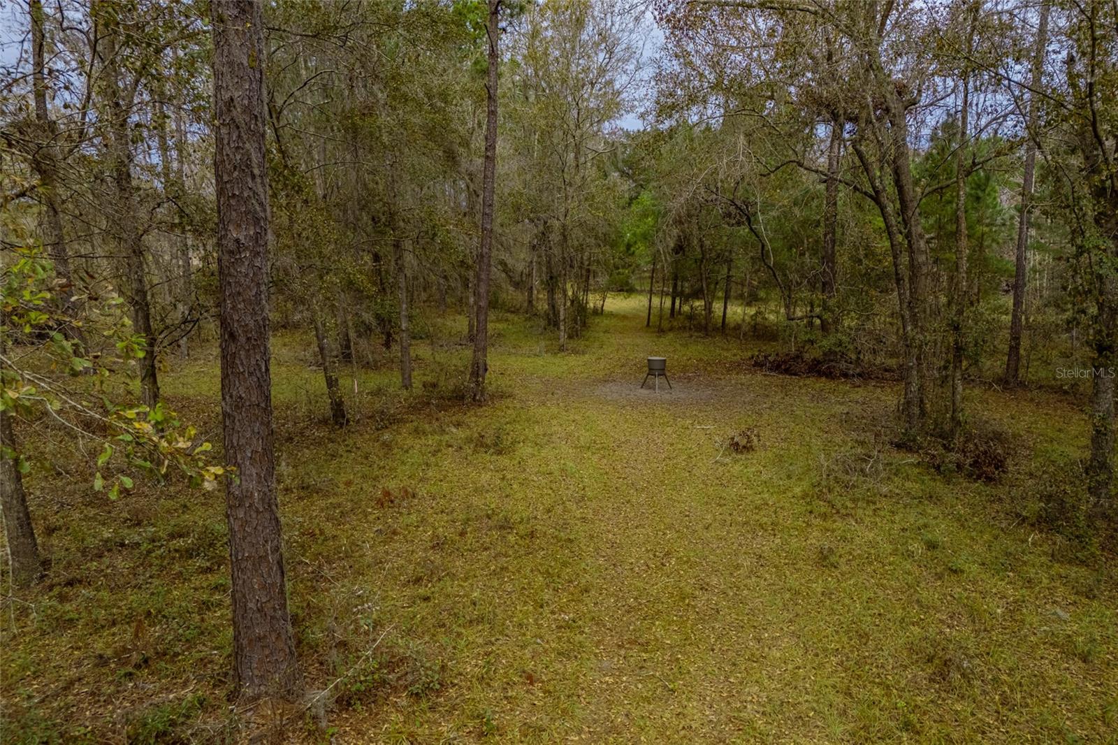 20105 NW 91ST ST, ALACHUA, FL, 32615