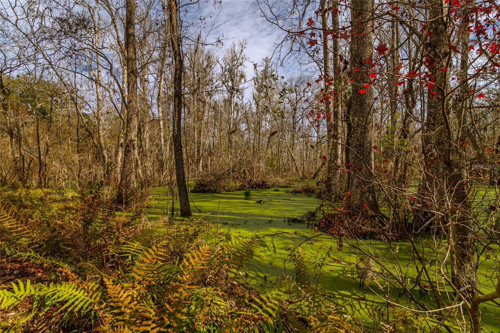 20105 NW 91ST ST, ALACHUA, FL, 32615