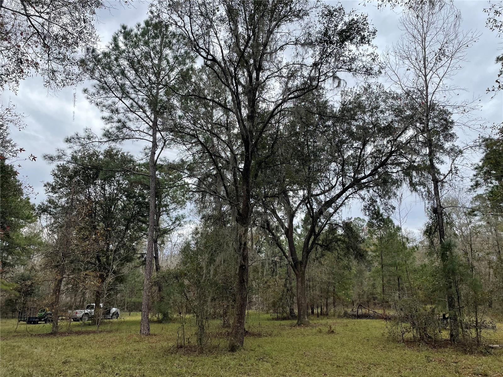 20105 NW 91ST ST, ALACHUA, FL, 32615
