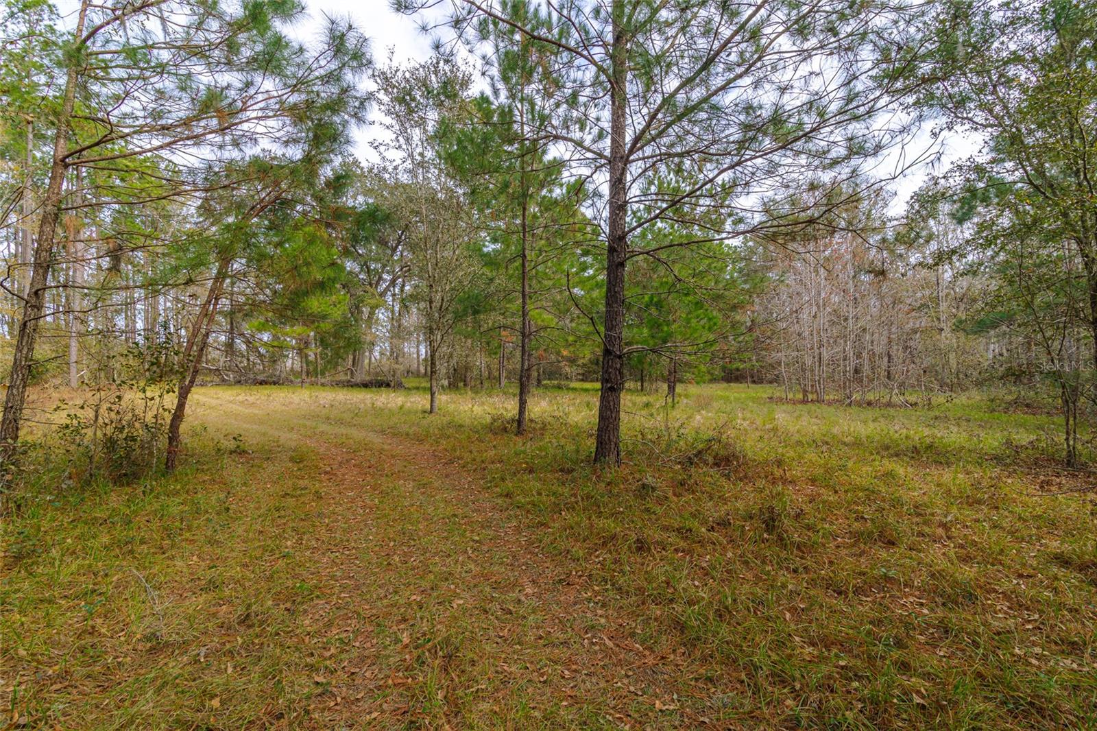 20105 NW 91ST ST, ALACHUA, FL, 32615