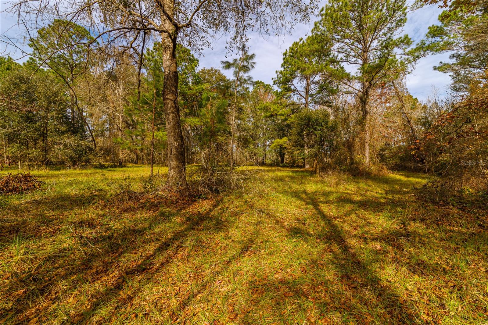 20105 NW 91ST ST, ALACHUA, FL, 32615
