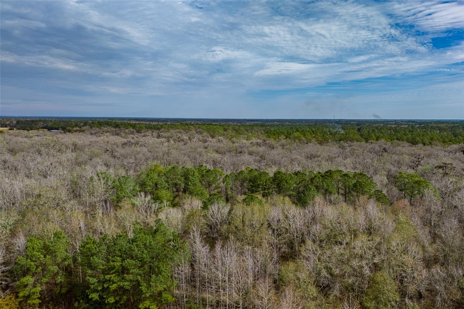 20105 NW 91ST ST, ALACHUA, FL, 32615