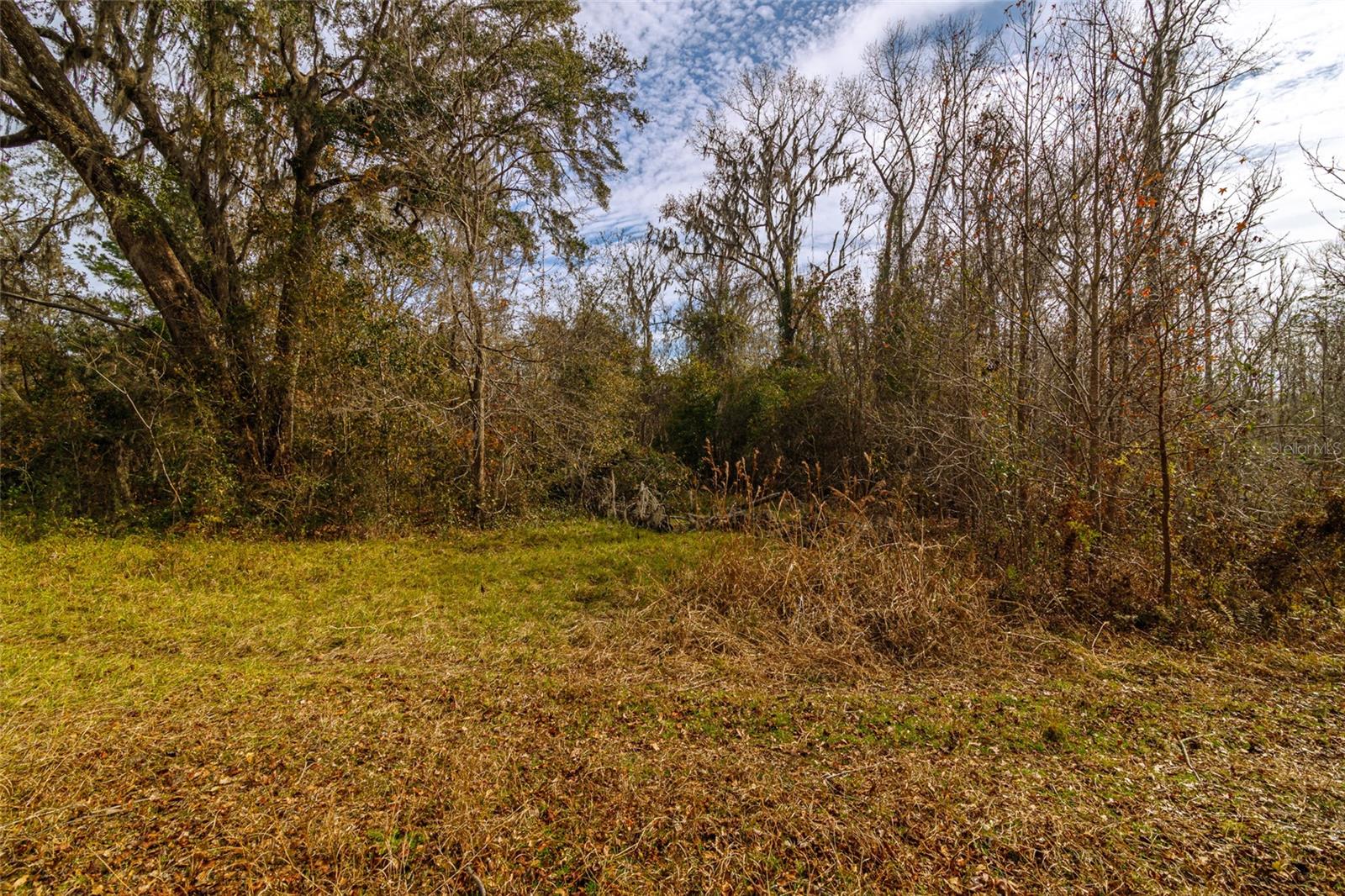 20105 NW 91ST ST, ALACHUA, FL, 32615