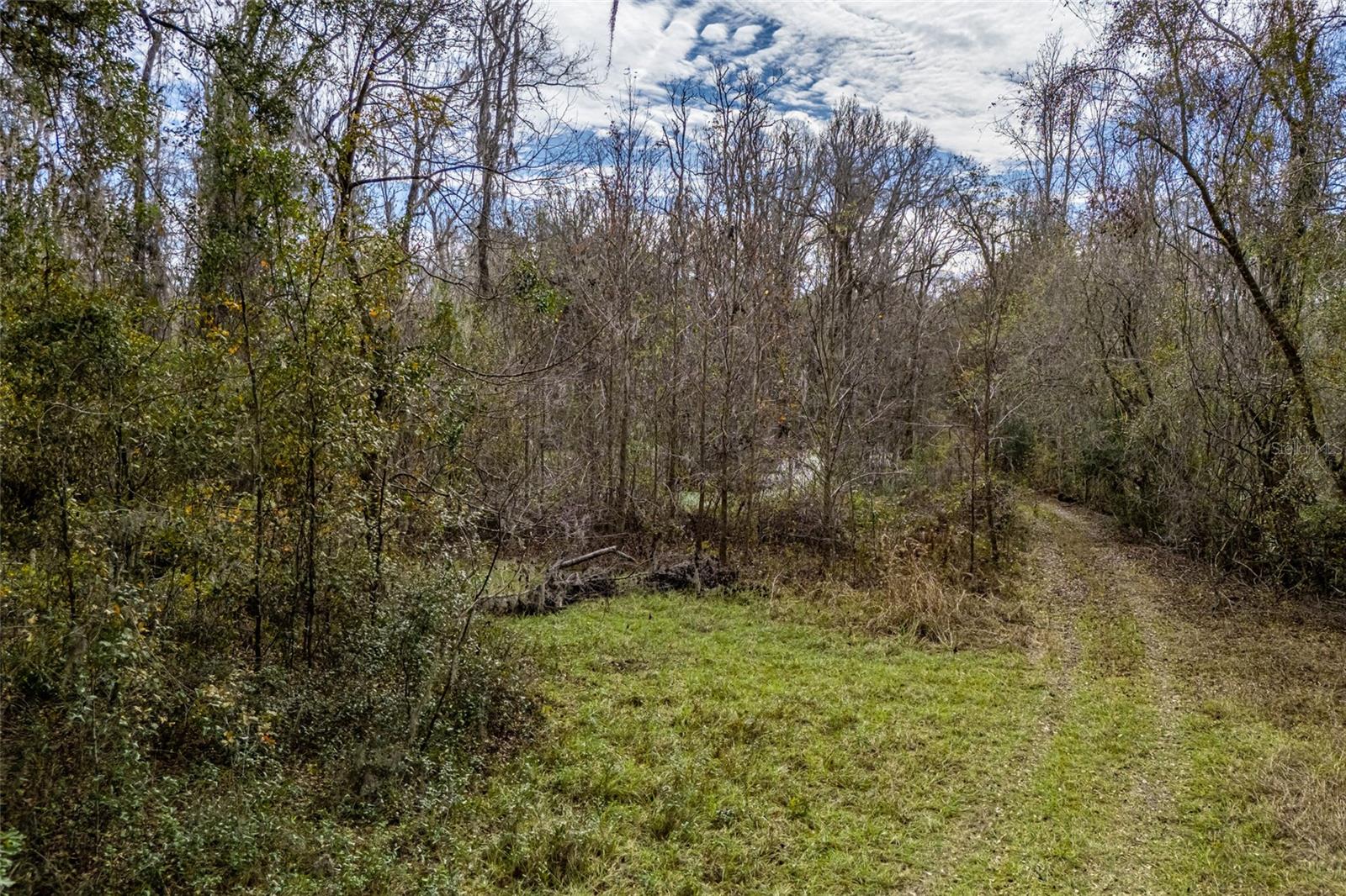 20105 NW 91ST ST, ALACHUA, FL, 32615
