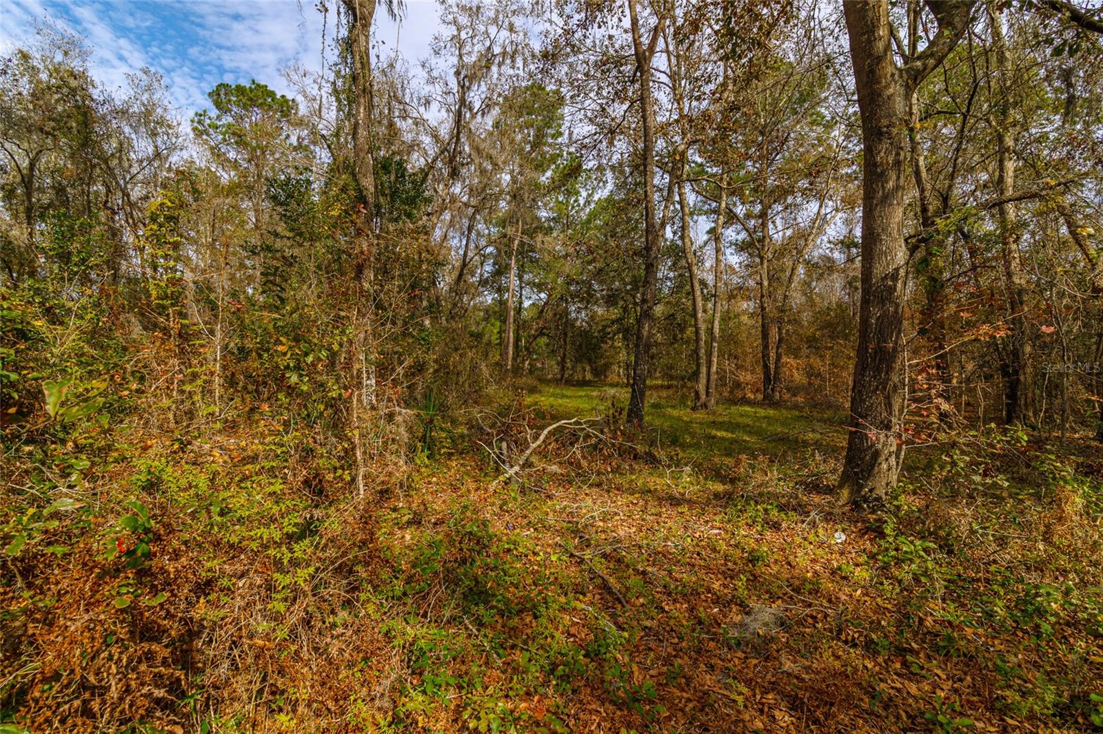 20105 NW 91ST ST, ALACHUA, FL, 32615