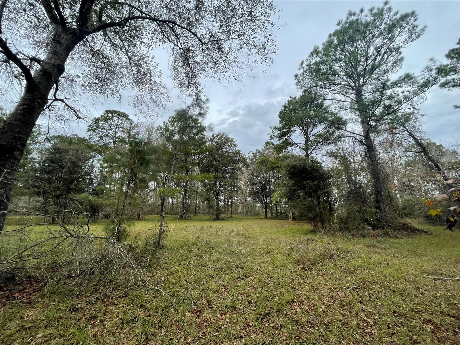 20105 NW 91ST ST, ALACHUA, FL, 32615
