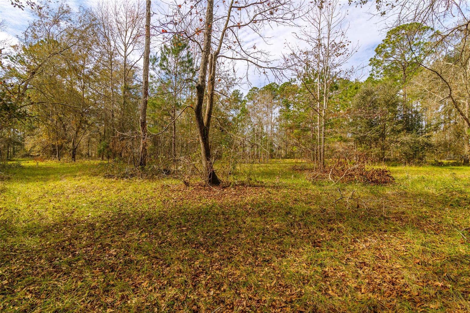 20105 NW 91ST ST, ALACHUA, FL, 32615