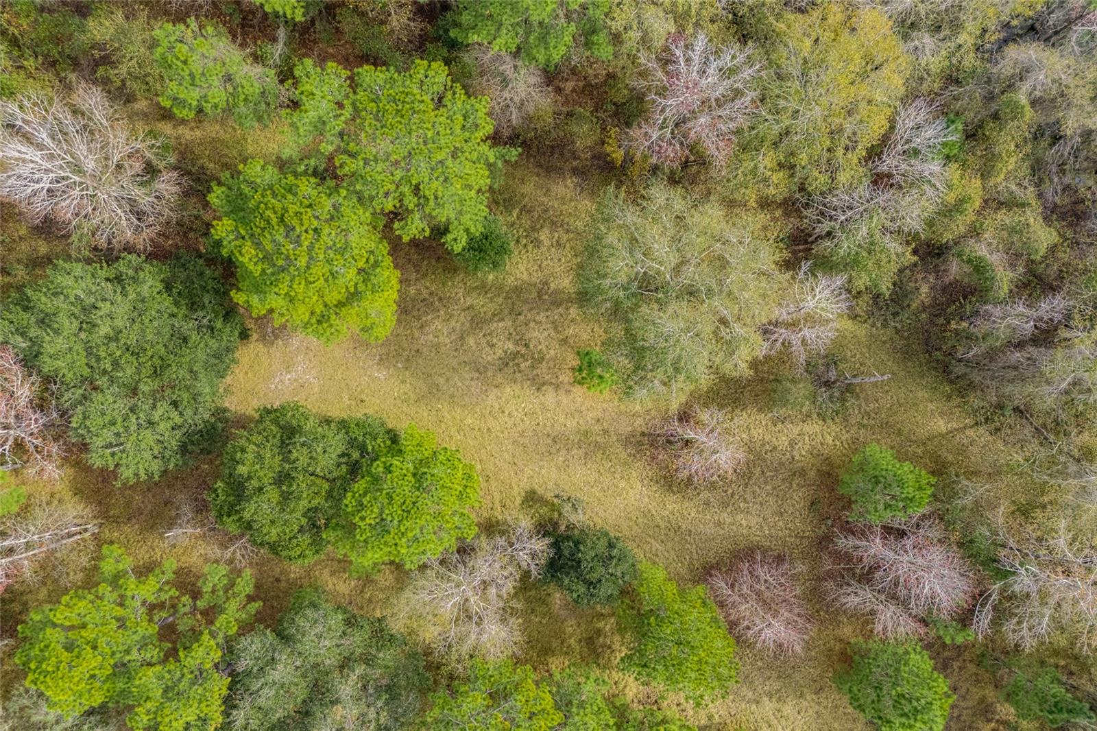 20105 NW 91ST ST, ALACHUA, FL, 32615