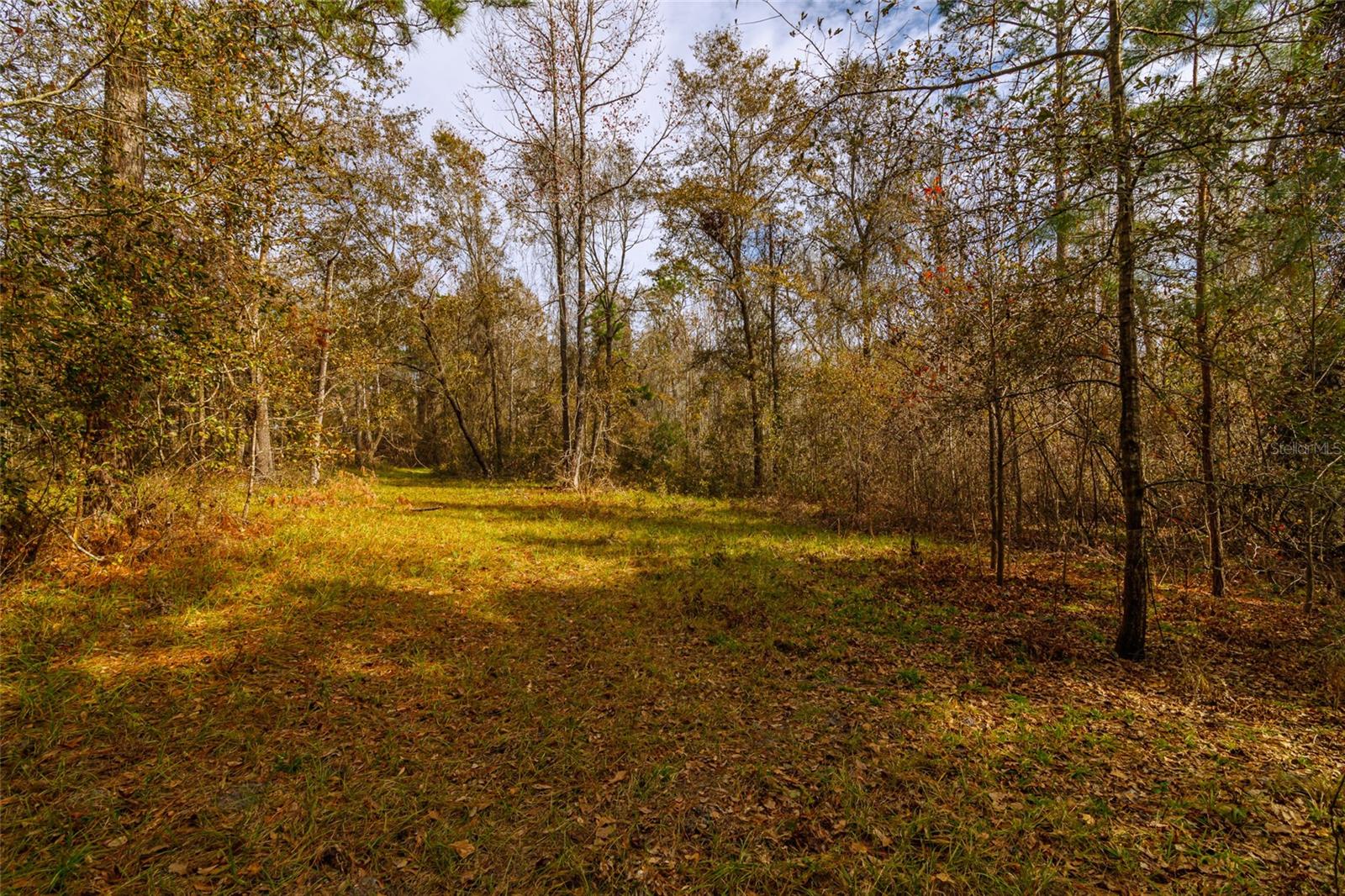 20105 NW 91ST ST, ALACHUA, FL, 32615