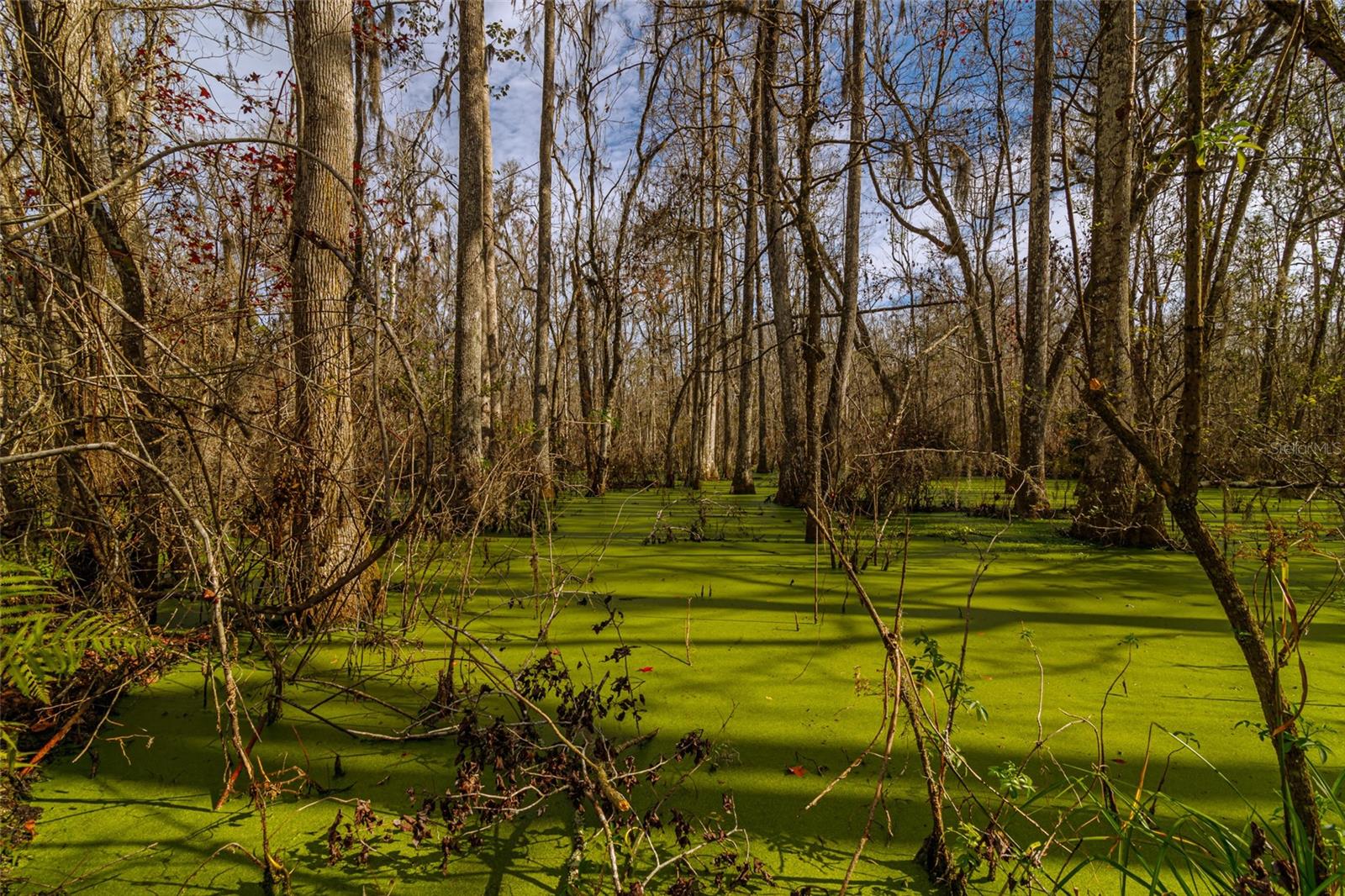 20105 NW 91ST ST, ALACHUA, FL, 32615