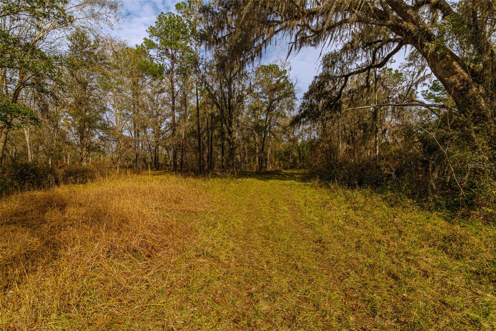 20105 NW 91ST ST, ALACHUA, FL, 32615