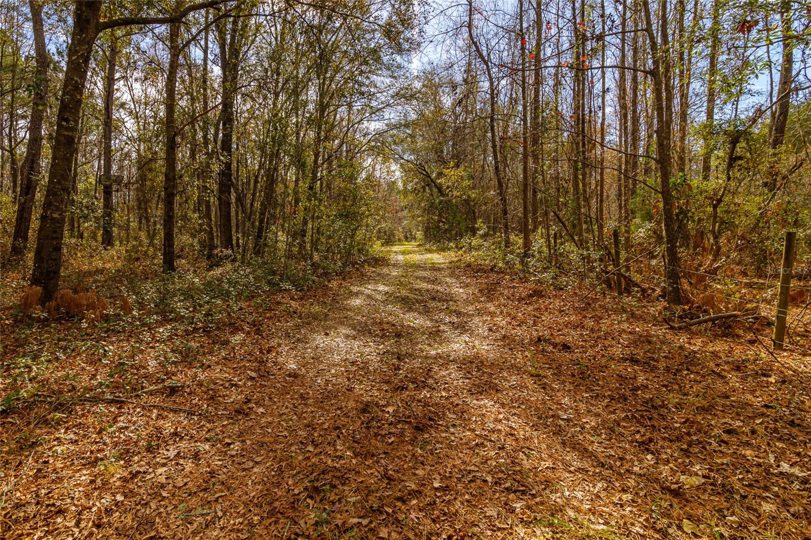 20105 NW 91ST ST, ALACHUA, FL, 32615