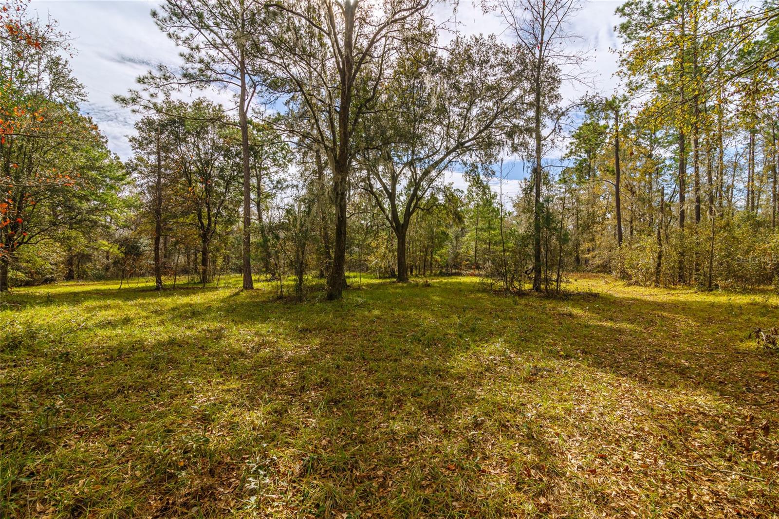20105 NW 91ST ST, ALACHUA, FL, 32615