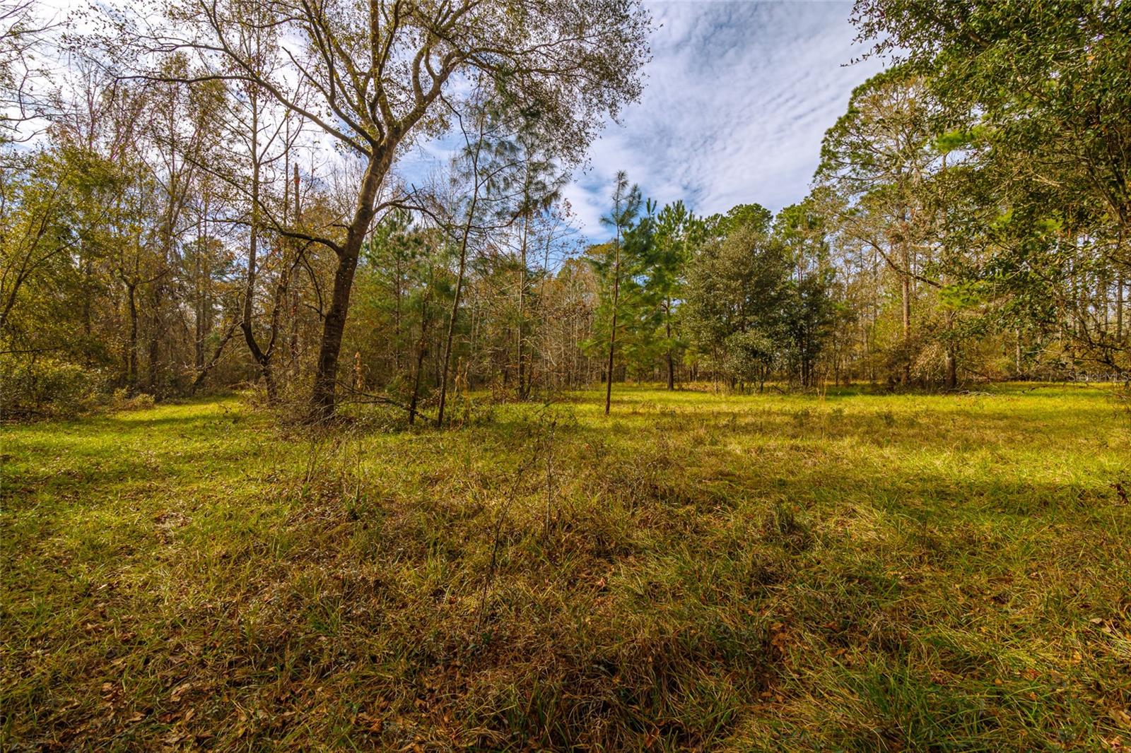 20105 NW 91ST ST, ALACHUA, FL, 32615