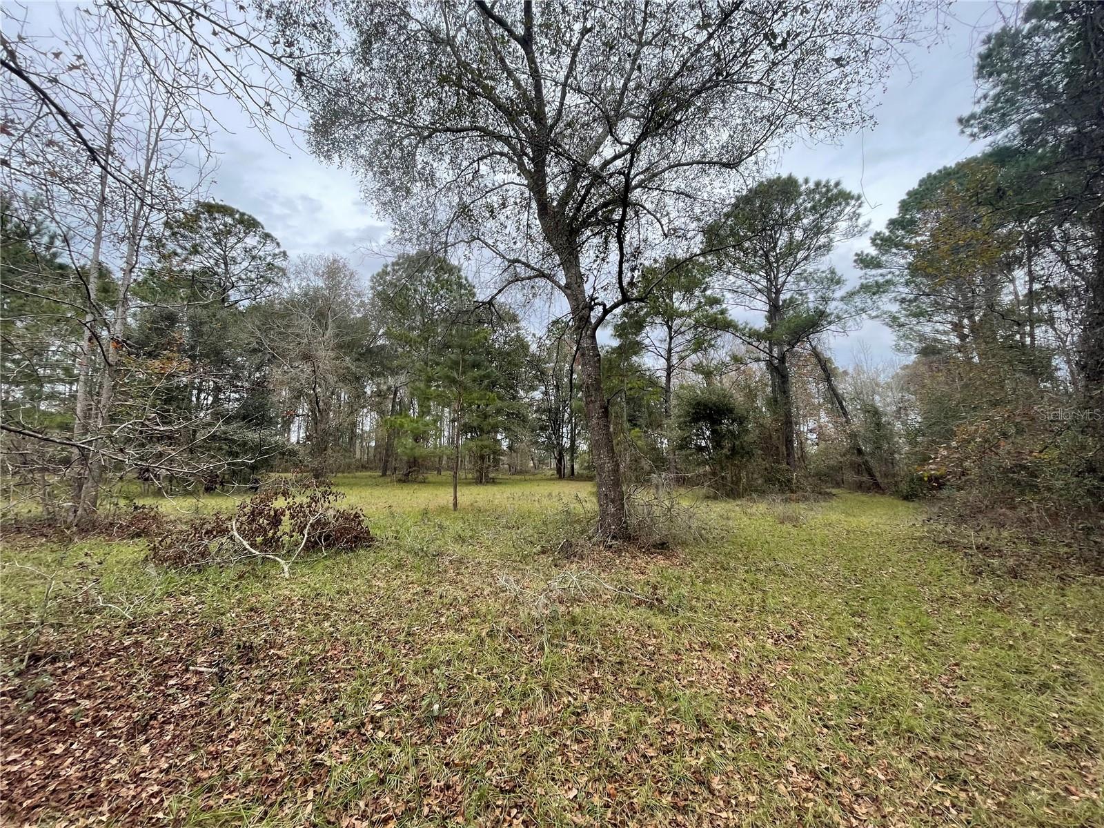 20105 NW 91ST ST, ALACHUA, FL, 32615