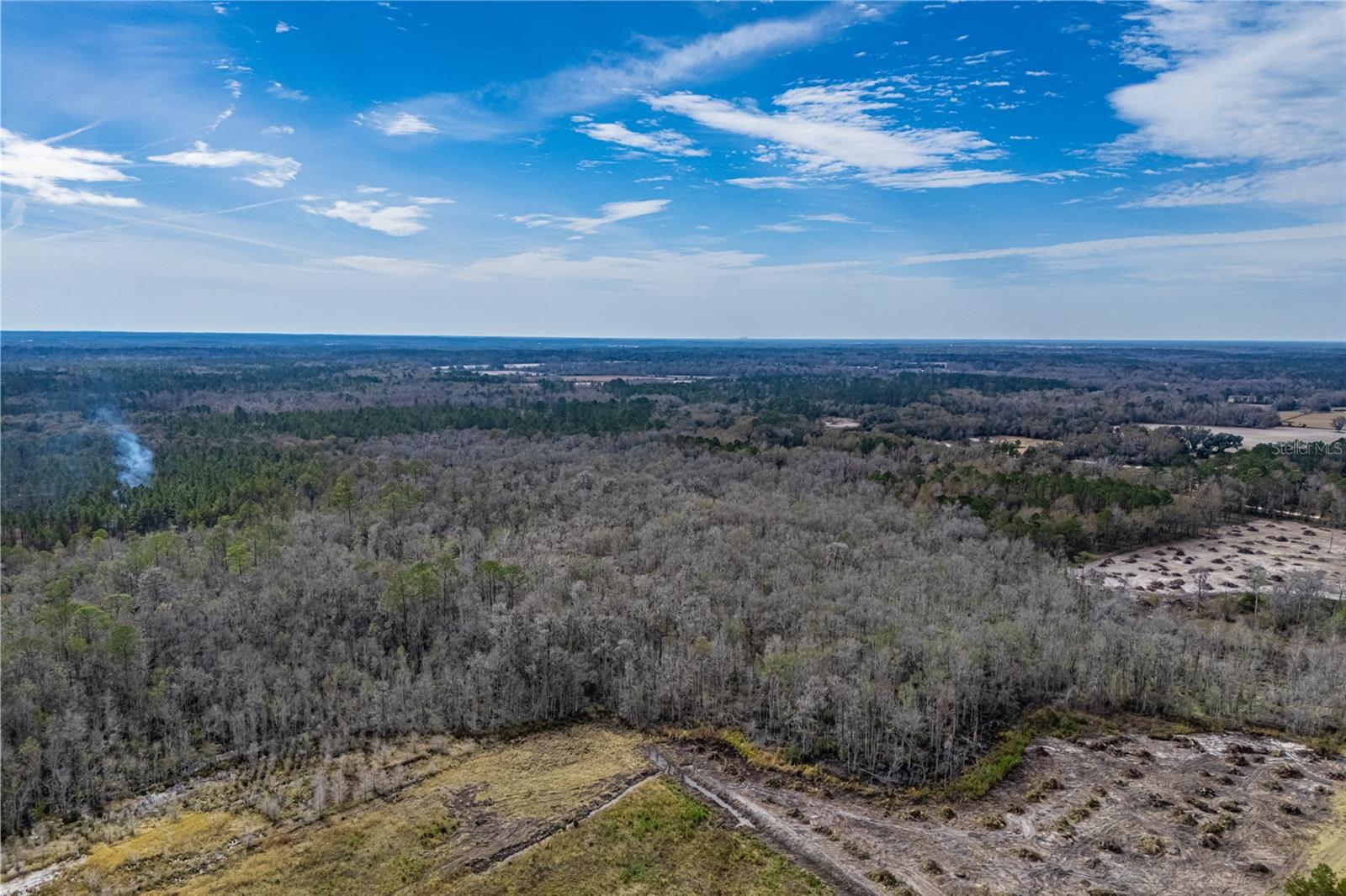 20105 NW 91ST ST, ALACHUA, FL, 32615