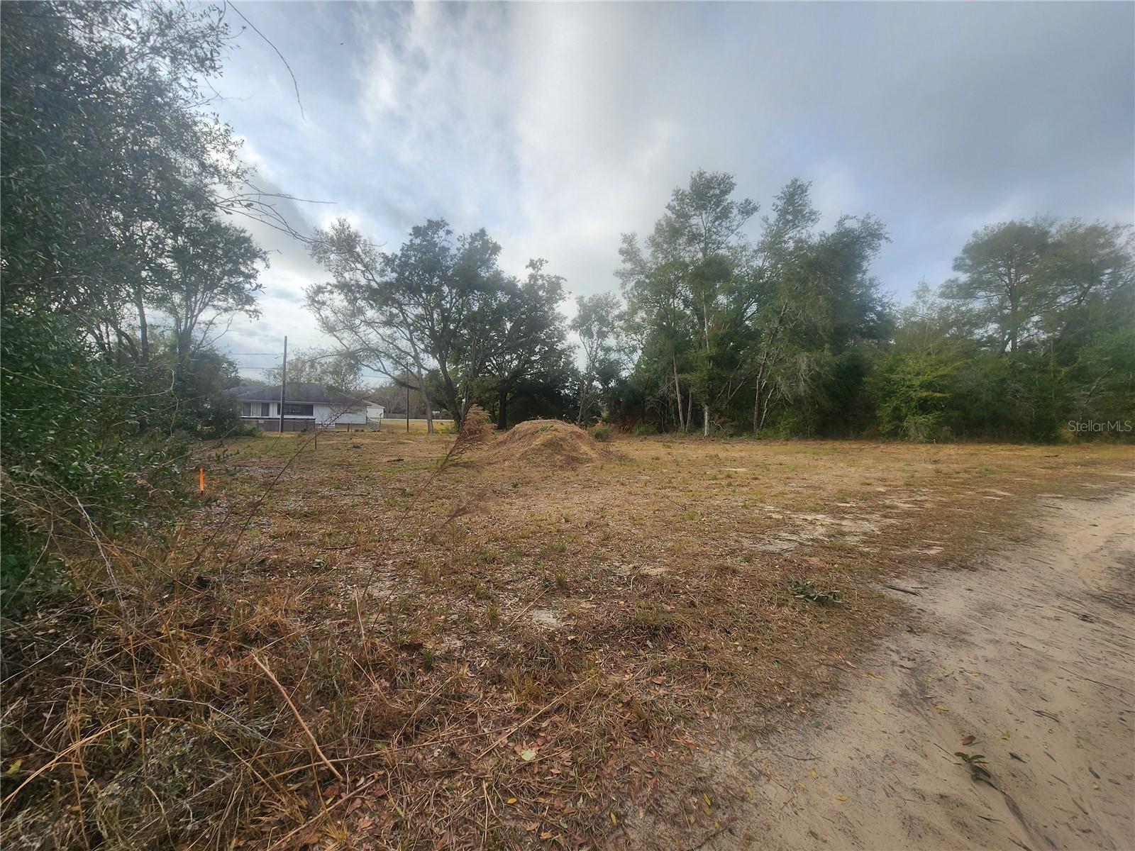 715 LONG AVE, INVERNESS, FL, 34453