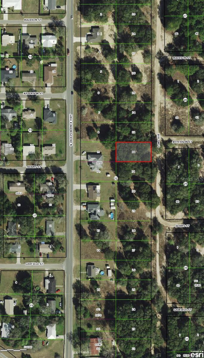 715 LONG AVE, INVERNESS, FL, 34453