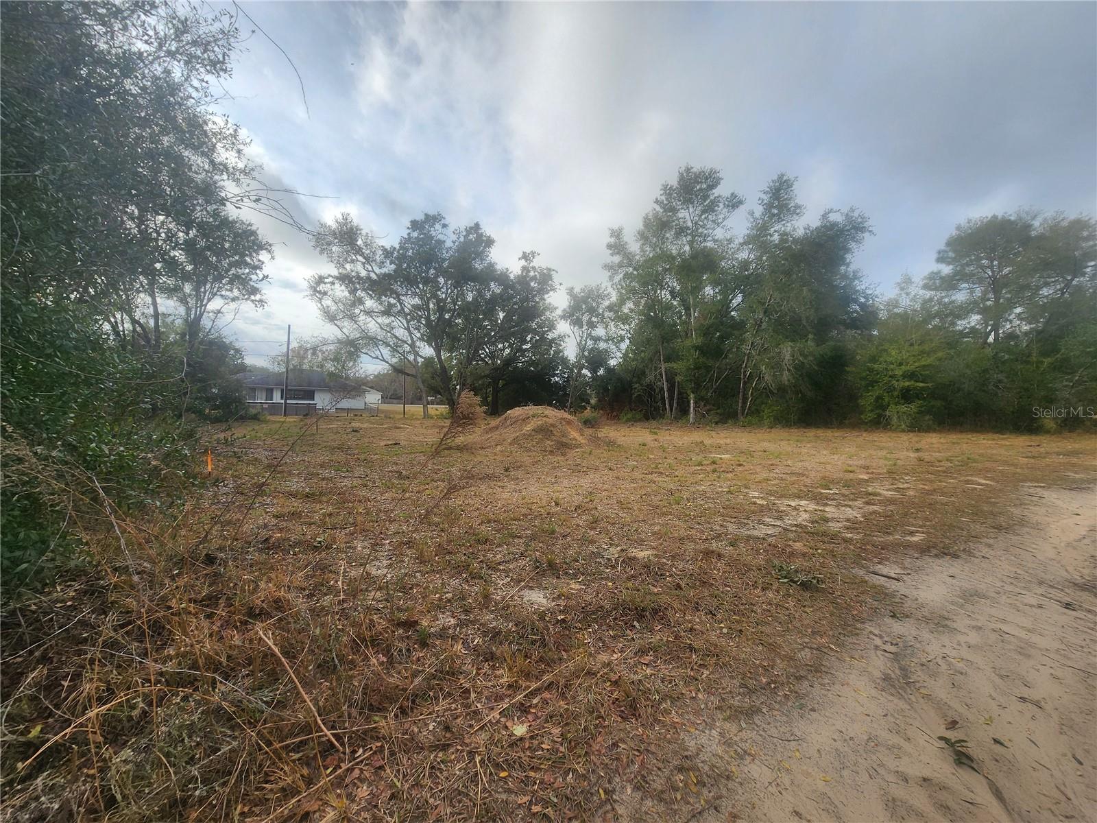 715 LONG AVE, INVERNESS, FL, 34453