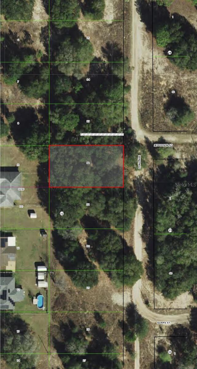 715 LONG AVE, INVERNESS, FL, 34453