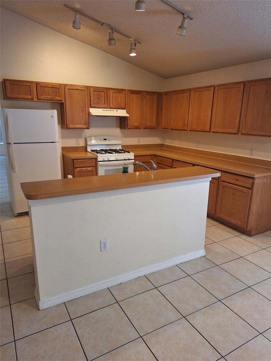 220 RONALDALE AVE, HAINES CITY, FL, 33844