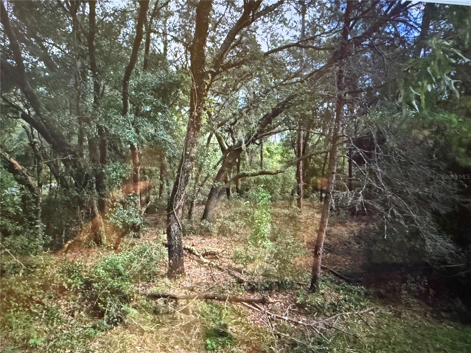 0 NE 117TH AVE AVE, FORT MC COY, FL, 32134