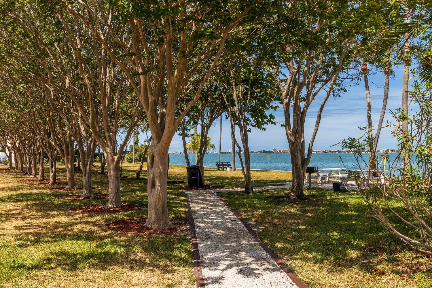6020 SHORE BLVD S #411, GULFPORT, FL, 33707