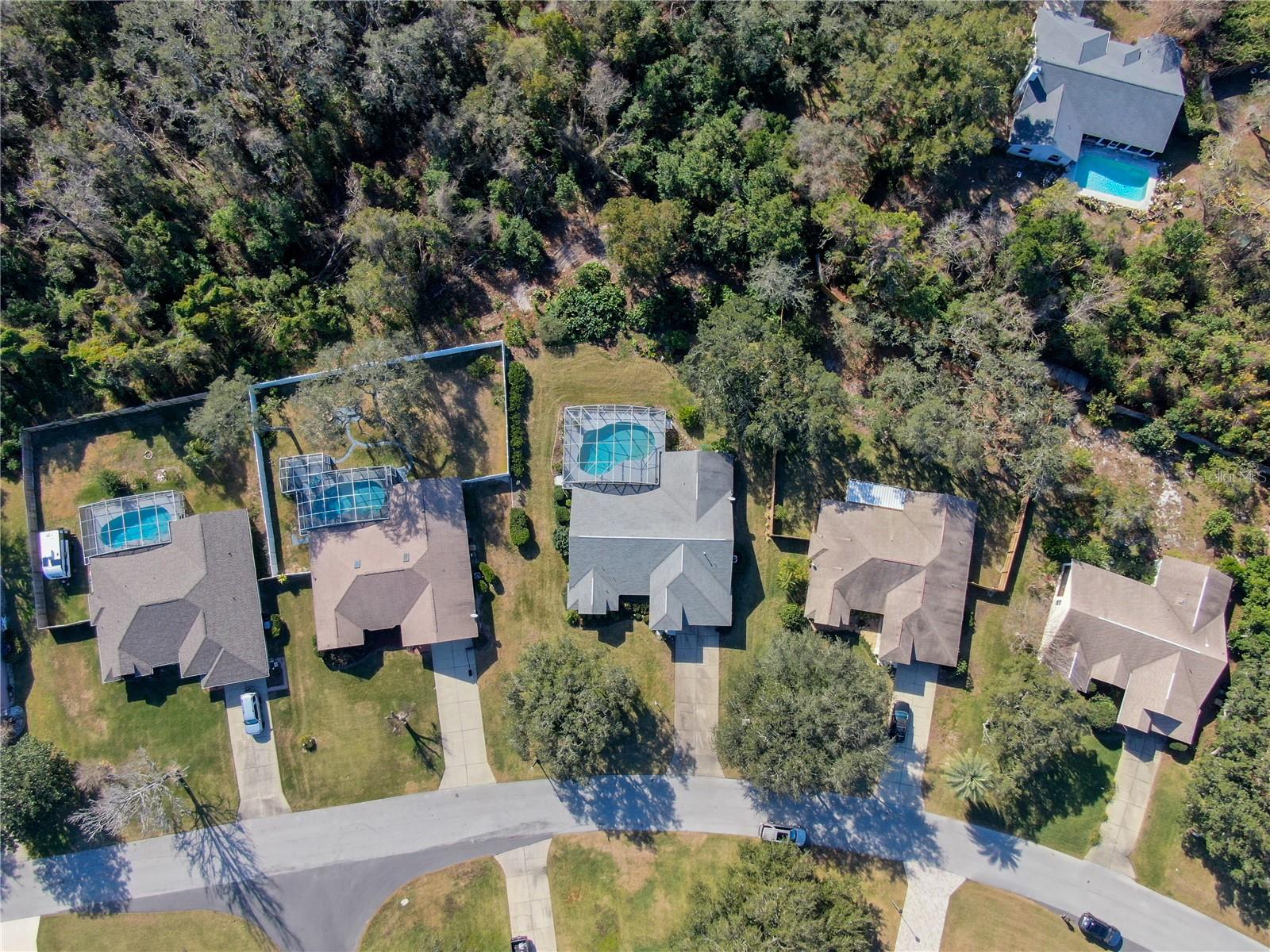 10108 SILVER BLUFF DR, LEESBURG, FL, 34788